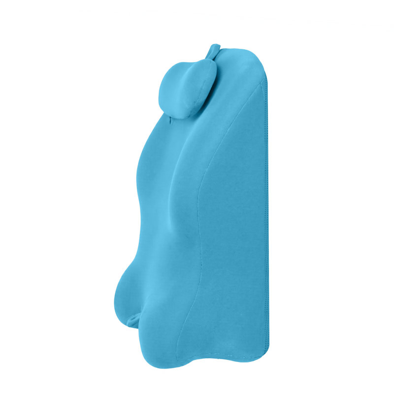 Ergonomic Spinal Posture Support & Multi-Functional Bed Pillow, Blue