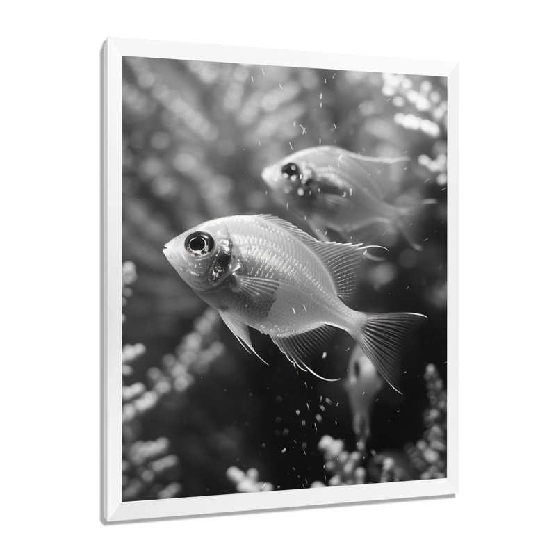 Monogramme d'aquariums de poissons gris gris - Aquariums, salon d'art mural, Toile tendue, H 12 po x l 20 po