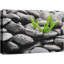 «Zen Stones Rain Drops over Black Rocks and Little Green Plants», reproduction de photo sur toile tendue-56324491