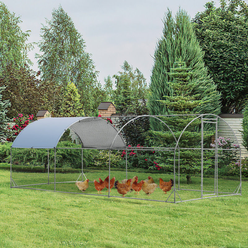 Poulailler Anikia de 171 pieds carrés