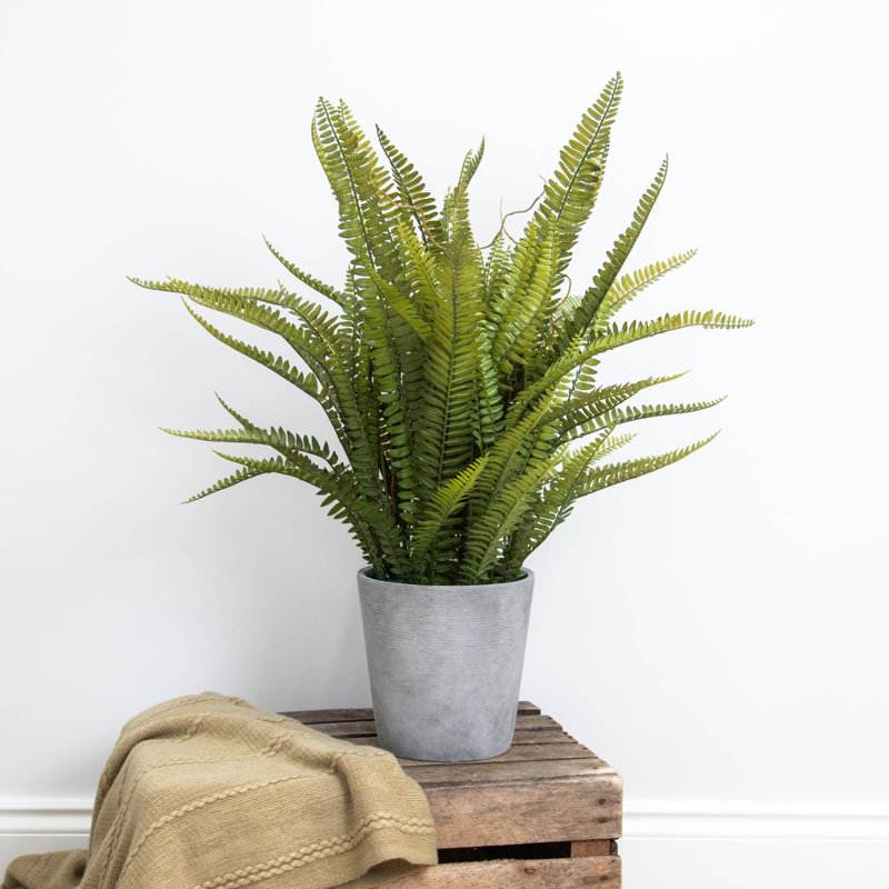 80cm Faux Fern Plant in Composite Pot