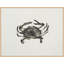 Ocean Creatures 1 Print by Kim Kimbro-375801979