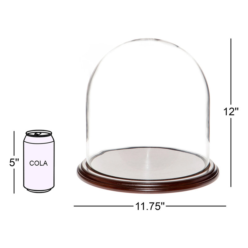 Cloche à dôme en verre 11,75 "x 12" Vucciria, Base en placage d'acajou foncé
