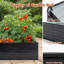 Lit de jardin surélevé en métal galvanisé 8 x 4 x 2 pi, noir, pour la plantation de légumes, de fleurs et d'herbes, aération de racines à fond ouvert et pot à fleurs en acier à conception centrée sur l'utilisateur, vent, rouille-757594671