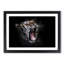A Yawning Tiger - Framed Print-55457266-55457267