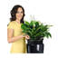 Rondo Pot Planter-29387145-29387143