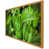 Oak Framed