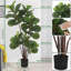 119.4Cm Artificial Ficus Lyrata Tree in Pot