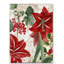 «Amaryllis» par Jadaya, impression sur toile tendue-20506225