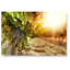 Print on Canvas-22842722-22877473