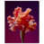 Gallery Wrapped is unavailable