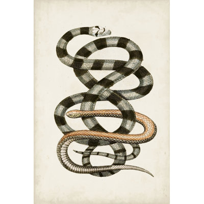 Antique Snakes I - Painting