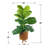 48 " H Faux Fiddle Leaf Fig Tree in Wicker/Rattan Basket