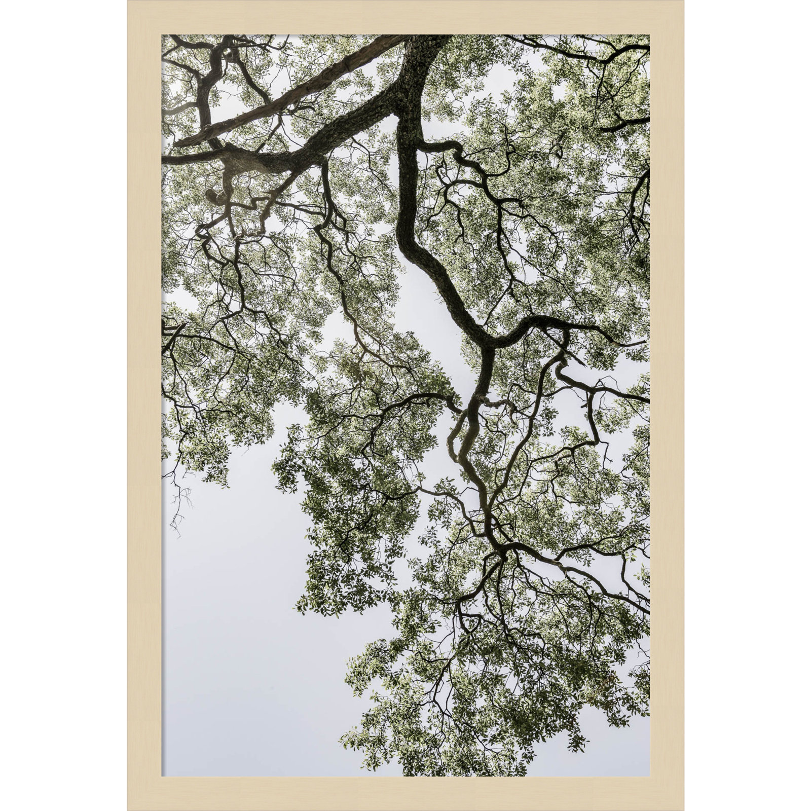 Pleasantville "Coastal Forest" Print, Brown, 21" H x 15" W
