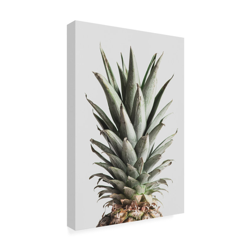 Pineapple Natural 02 par 1x Studio III - Photographie sur toile tendue, H 24 po x l 16 po x P 2 po