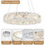 Lustre en cristal 20 po Modern