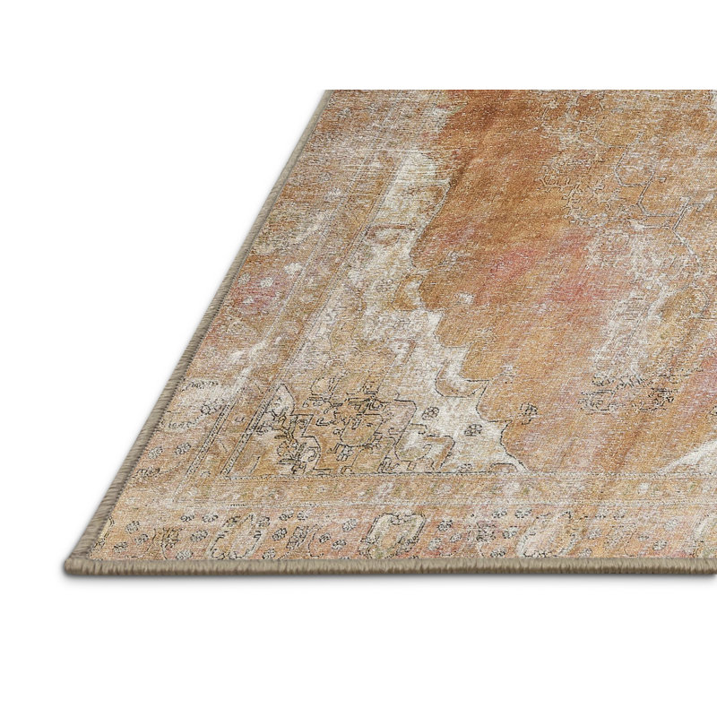 Akanke Oriental Indoor Rug, Rectangle 2' x 3'