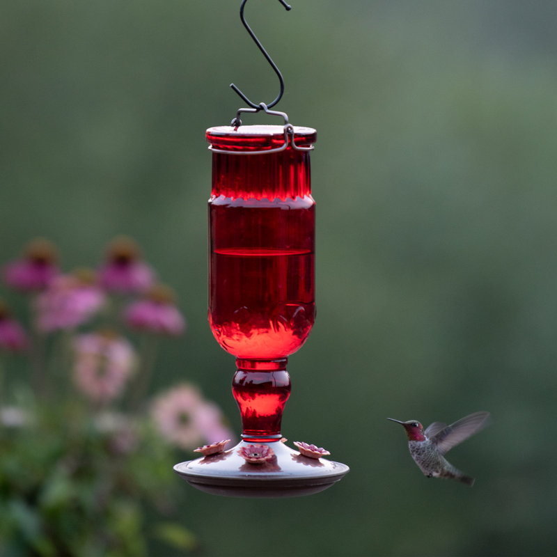 Hartranft Glass Hanging Hummingbird Feeder, Red Antique