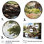 Country Club Elegant Retreat VII - Reproductions d'art sur toile-350163286-350171642