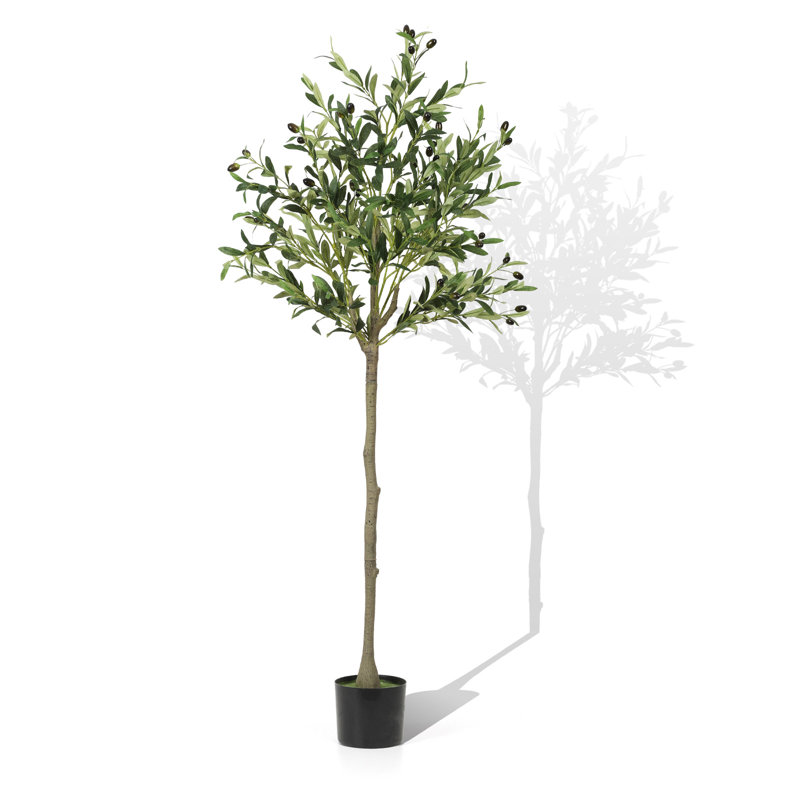 Faux olivier en pot, H 60 po x l 23 po