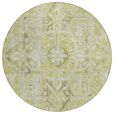 Feeley Washable Oriental Indoor / Outdoor Rug