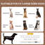 Polyester Pet Bed-923636481
