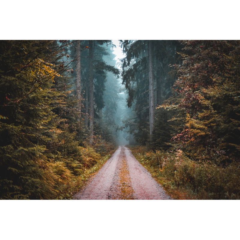 Enter If You Dare by Jcarpe - Wrapped Canvas Print, 61cm H x 91cm W x 3.8cm D