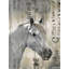 Cheval blanc rustique - reproduction encadrée pour la décoration intérieure-27429561