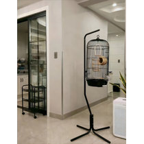 Hanging Bird Cages You'll Love