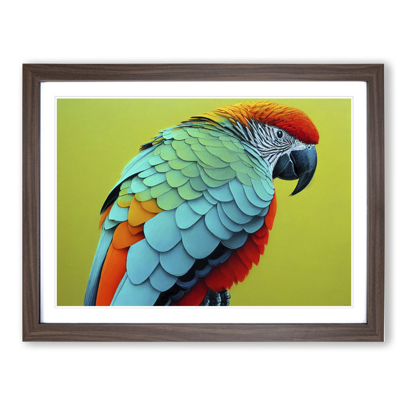 Colourful Parrot Vol.2 - Single Picture Frame Print, 25cm H x 34cm W x 2cm D, Walnut Framed