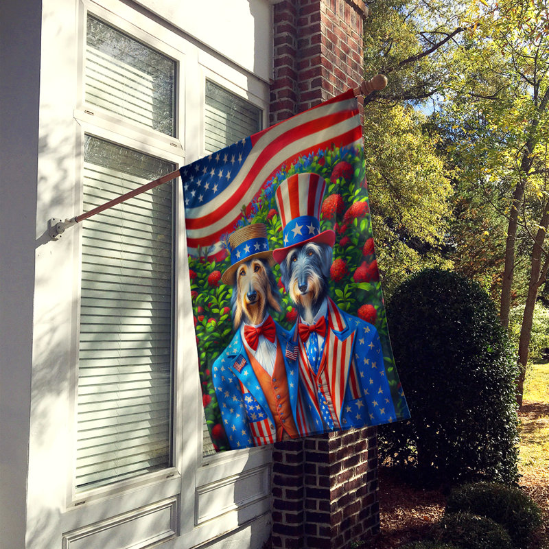Drapeau «All American House», Lévrier écossais