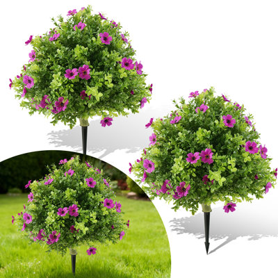 60cm Plant