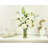 Hydrangea Arrangement in Vase