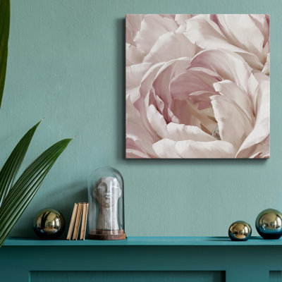 " Intimate Blush II "
