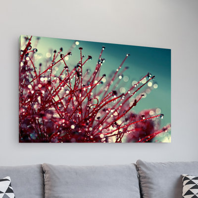 "For You and Me" par Beata Czyzowska Young, reproduction de photo sur toile tendue
