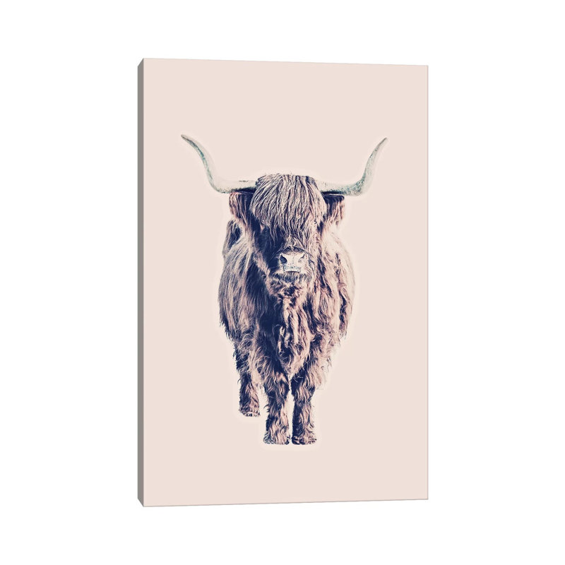 Highland Cattle Colin Rose 1 Piece Wrapped Canvas Wall Art, 66.04 cm H x 45.72 cm W x 3.175 cm D