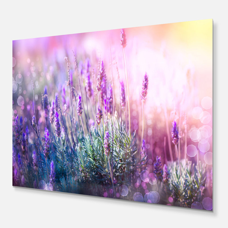 «Growing and Blooming Lavender», reproduction d'impression, Métal métal, H 34 po x l 44 po x P 1 po