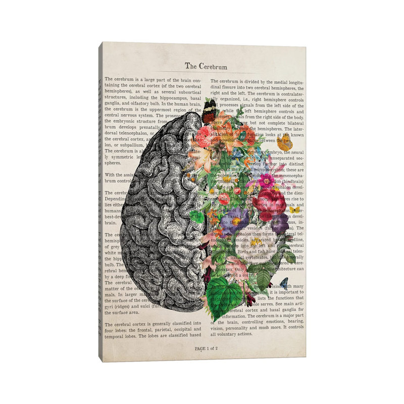 Brain Art Flower Anatomy Print by Aged Pixel - Wrapped Canvas Print, 101.6 cm H x 66.04 cm W x 1.91 cm D