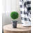 9.5'' Faux Boxwood Topiary in Pot-22214119
