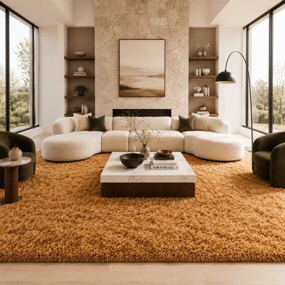 Grands tapis à poils longs pour le décor de la chambre à coucher, tapis à poils doux et pelucheux teint à la main pour le plancher intérieur, tapis esthétique pour la décoration intérieure