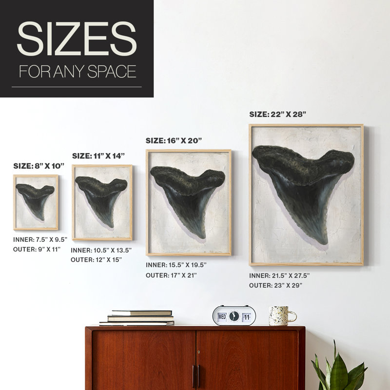 Watercolor Sharks Tooth I Framed Print - Solid Wood, Natural, 11" H x 9" W