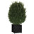 Wood Pot Planter-91895511-91895510