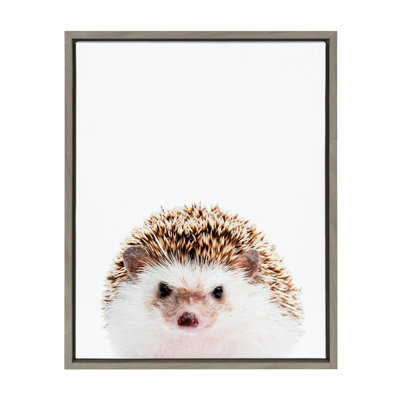 Hedgehog by Amy Peterson Framed Canvas Wall Art Print