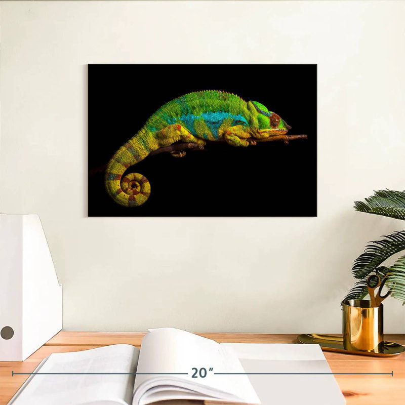 Caméléon Sleeping Panther, H 8 po x l 12 po