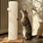 29.5" High Sisal Cat Scratching Post-297657645
