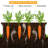 Pelletier Raised Garden Bed-73621351-35044202-74313908