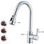 Belfry Kitchen Bauerle Pull Out Kitchen Faucet