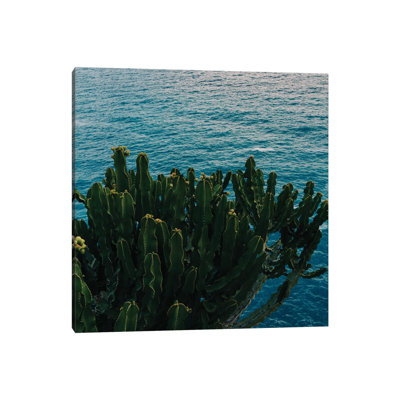 Amalfi Coast Cactus II by Bethany Young - Print on Canvas