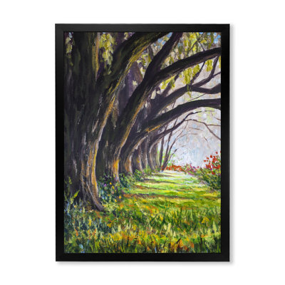 " Glade In A Sunny Forest With Large Giants Trees " Painting Print