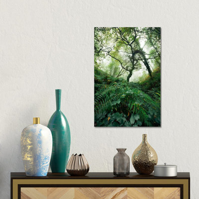 Inside The Woods by Stefan Hefele - Gallery-Wrapped Canvas Giclée on Canvas
